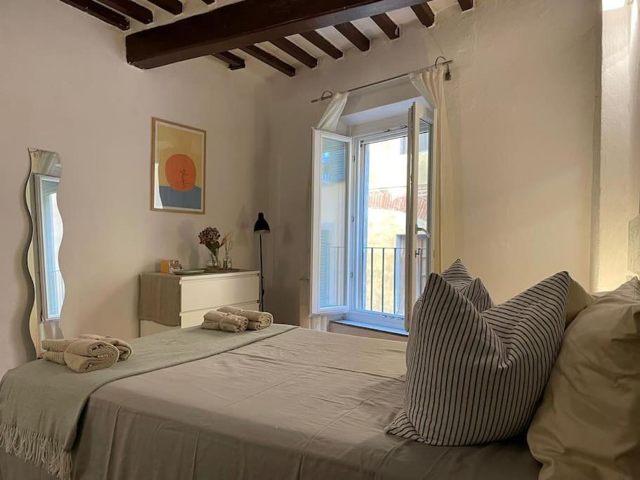 Casa Storica Nel Cuore Di Pisa - Lungarno Ngoại thất bức ảnh